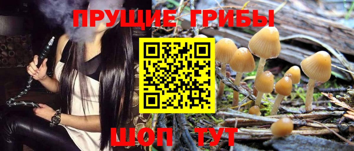 Галлюциногенные грибы Psilocybe  Вход с VPN  Анапа  Псилоцибиновые грибы Psilocybe 